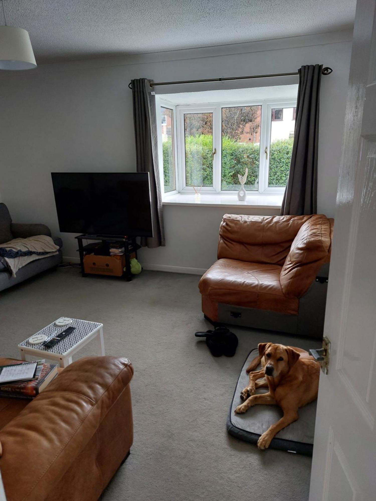 Bude Homestay Stratton  Exteriér fotografie
